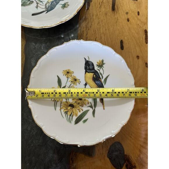 Schuman Arzberg Germany Porcelain Bird Plates Set of 3 Bavaria E & R - Picture 8 of 8